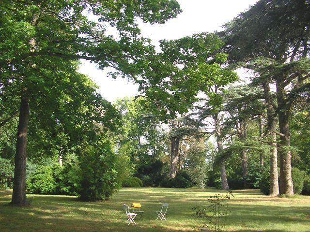 Chateau De Saint Michel De Lanes Buitenkant foto