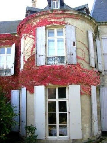 Chateau De Saint Michel De Lanes Buitenkant foto
