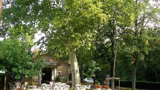 Chateau De Saint Michel De Lanes Restaurant foto